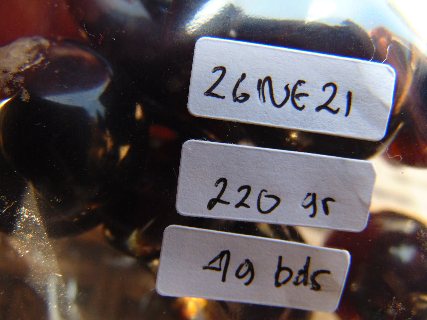 220 gr Small Necklace 49 beads Indonesian Dark Red Amber for Healing 26NE21