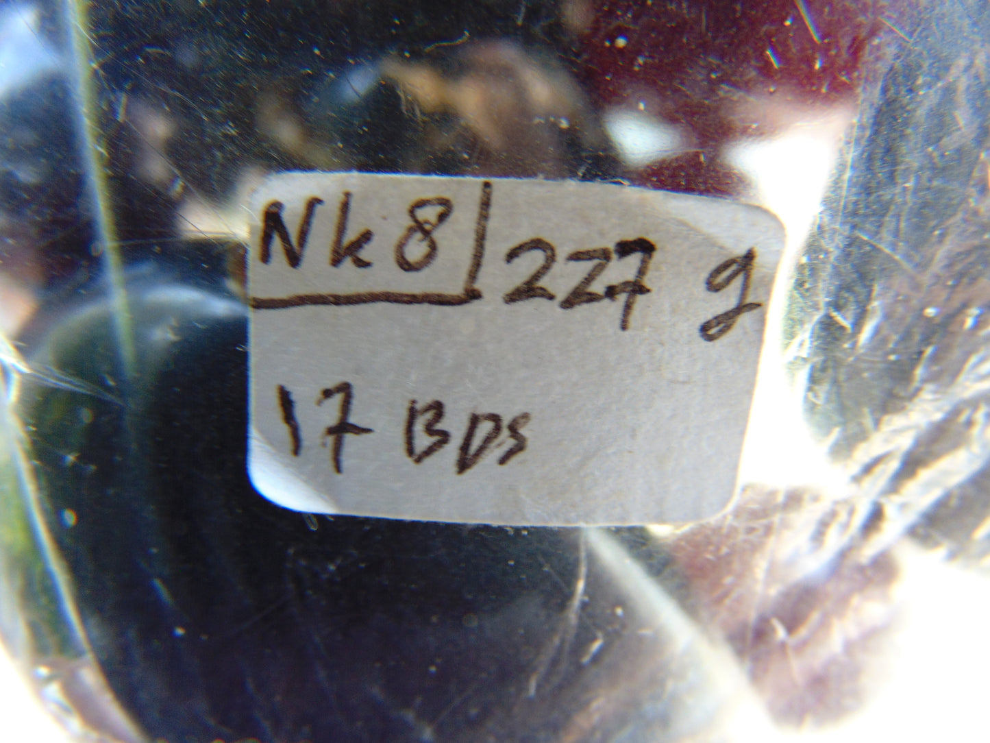 227 gram 19 Beads Big Necklace Indonesian Amber for Healing NK8