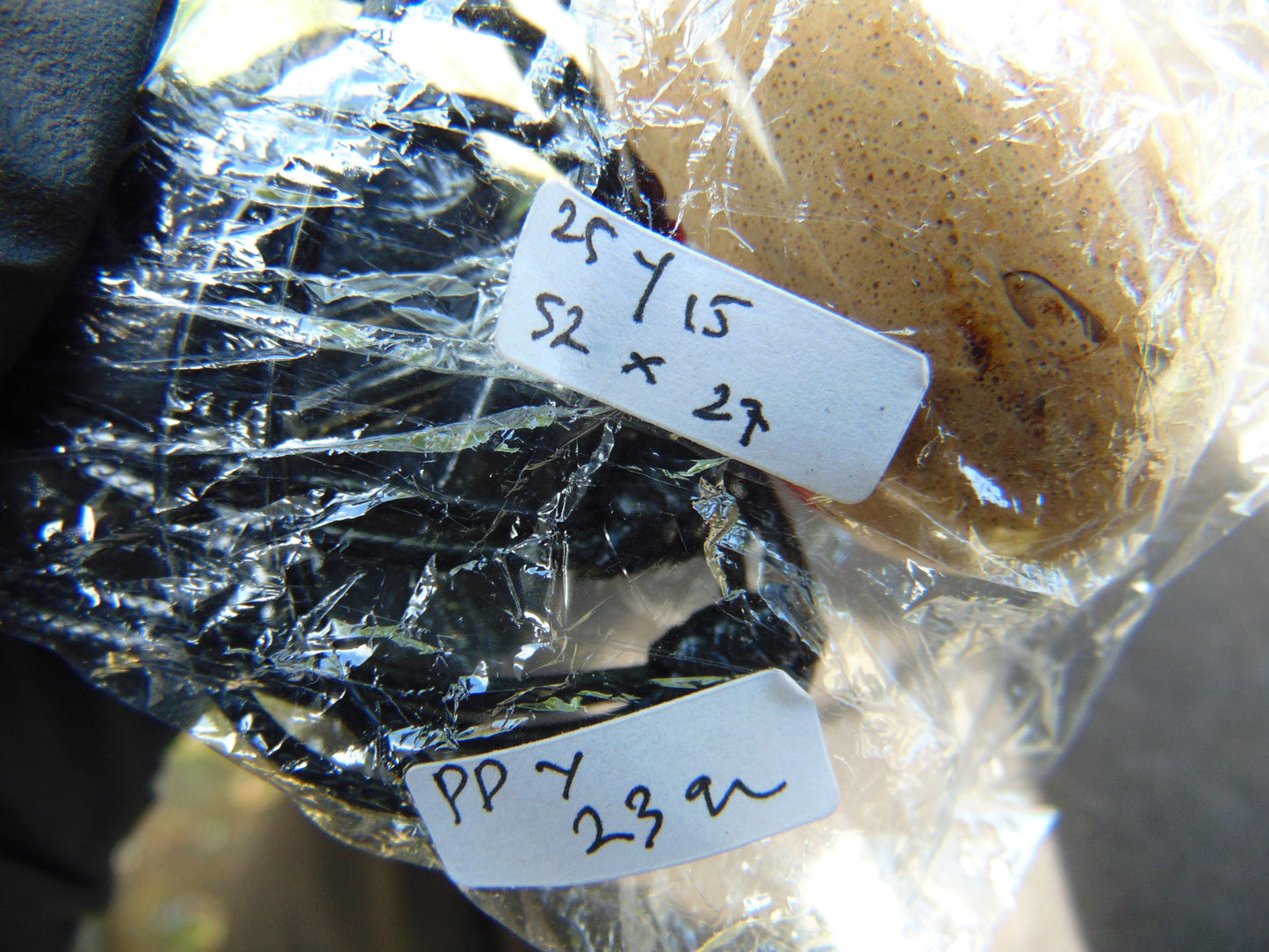 23 gr Teardrop Pendant Indonesian blue white Amber for Healing 25Y15