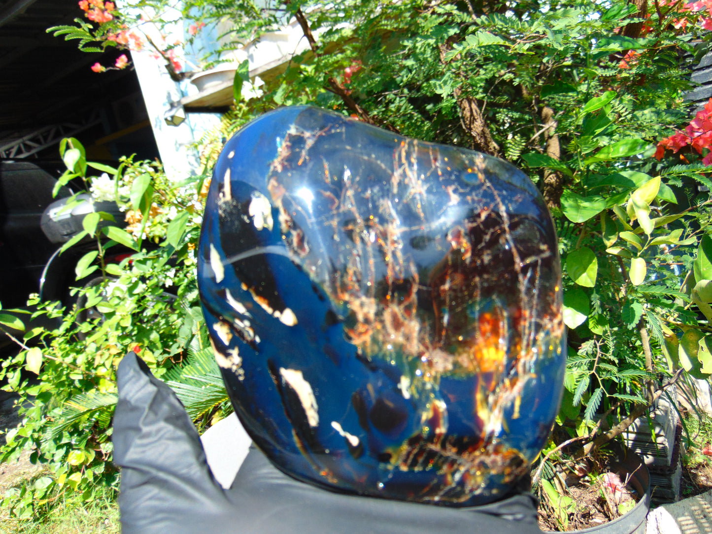 257 gram Full polished Indonesian Black Blue Amber for Healing ML75