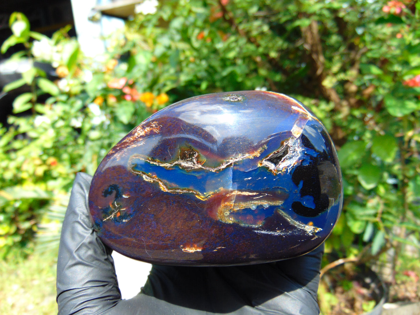 310 gram Full polished Indonesian Blue Amber for Healing ML73