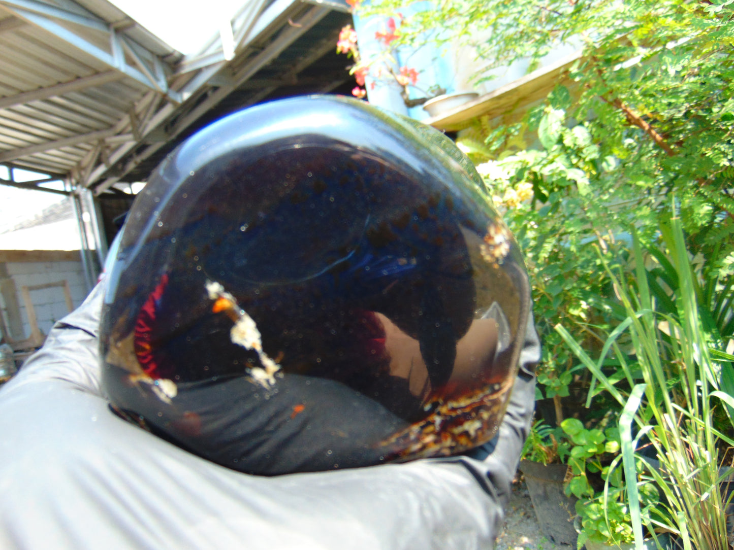 459 gr Shaped Square Polished Indonesian Mushroom Inclusion Dark Blue Amber for Healing FR112