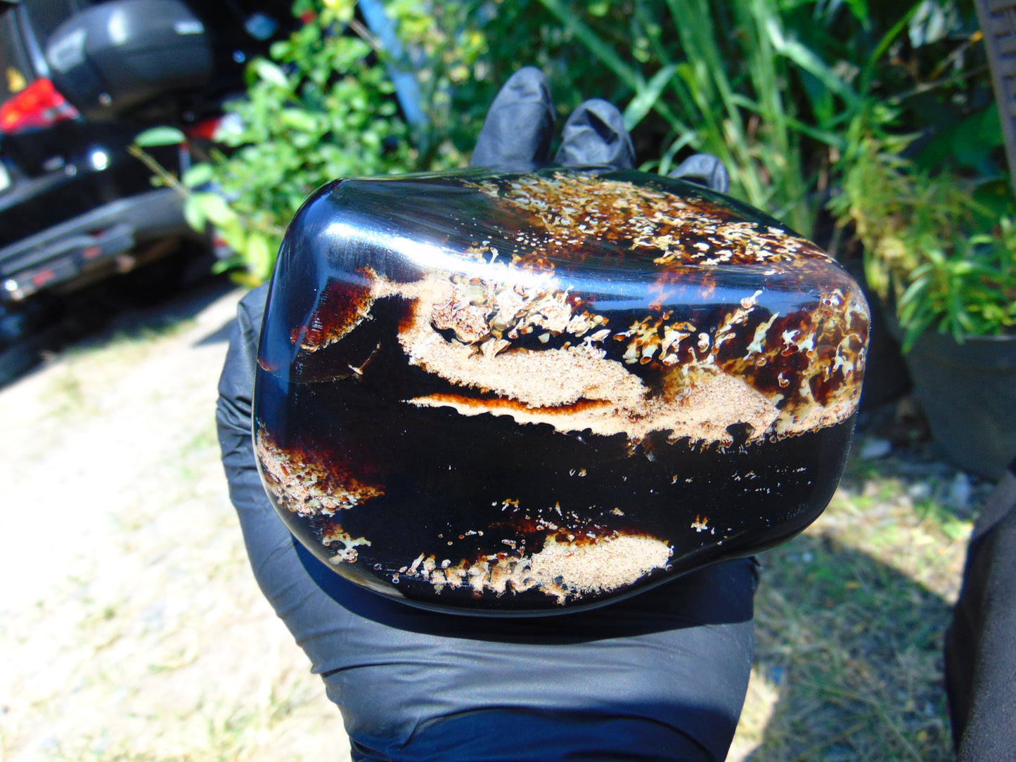 459 gr Shaped Square Polished Indonesian Mushroom Inclusion Dark Blue Amber for Healing FR112