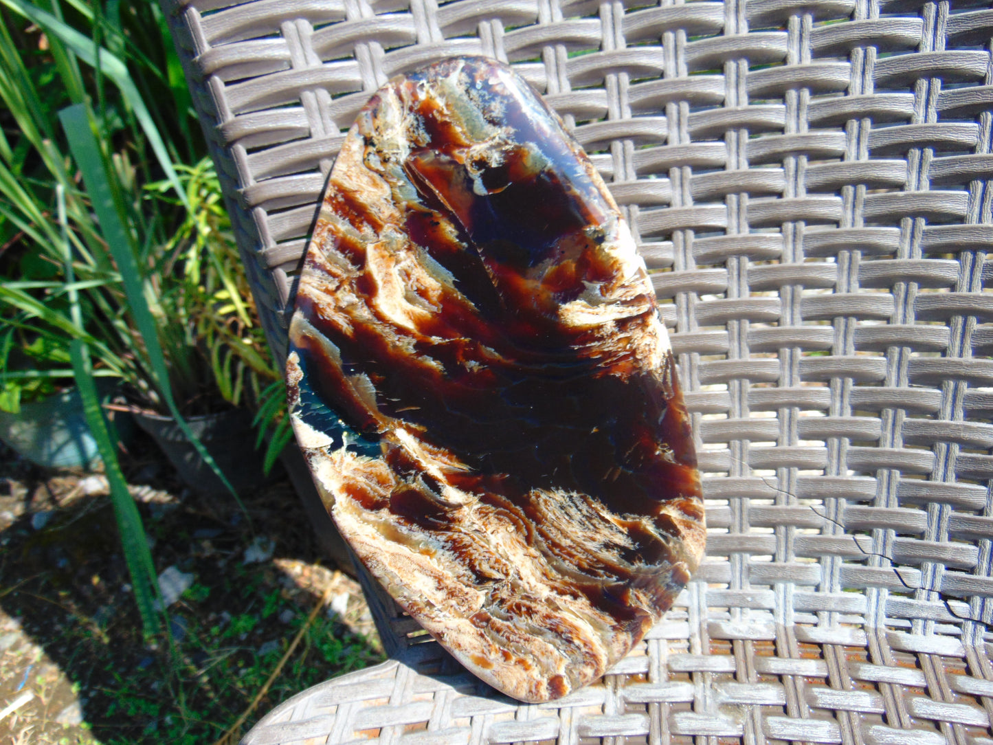 378 gram Slim Slab Polished 21x13x2 cm Indonesian Zebra White Amber for Healing AR97