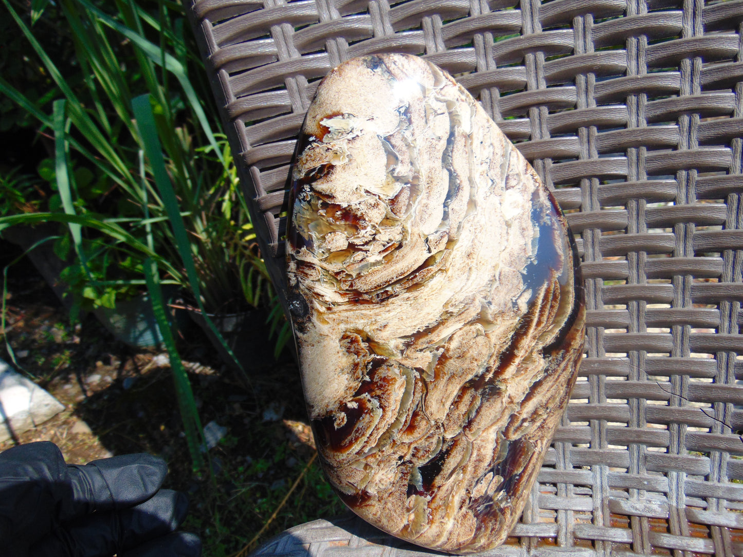 378 gram Slim Slab Polished 21x13x2 cm Indonesian Zebra White Amber for Healing AR97