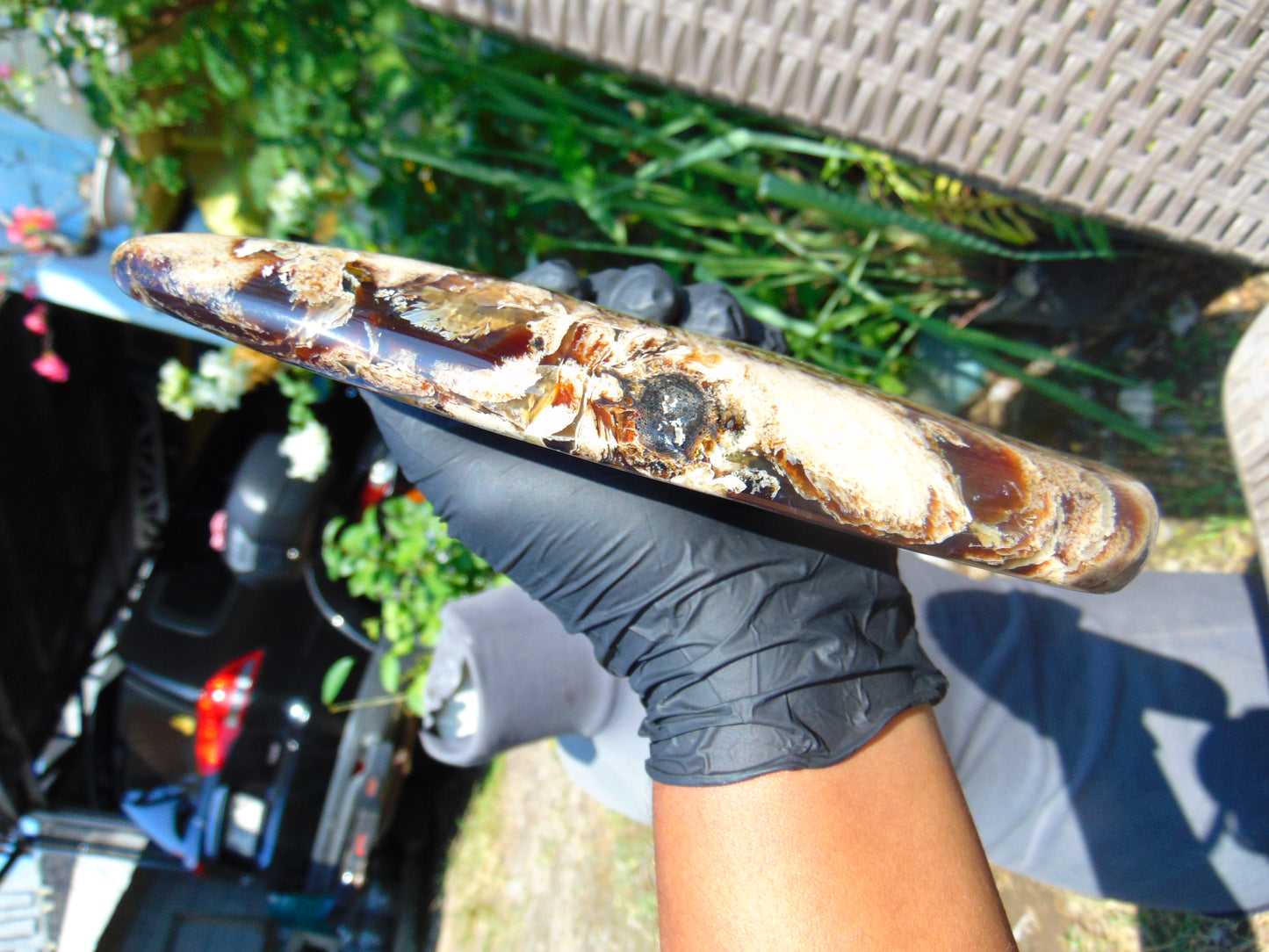 378 gram Slim Slab Polished 21x13x2 cm Indonesian Zebra White Amber for Healing AR97