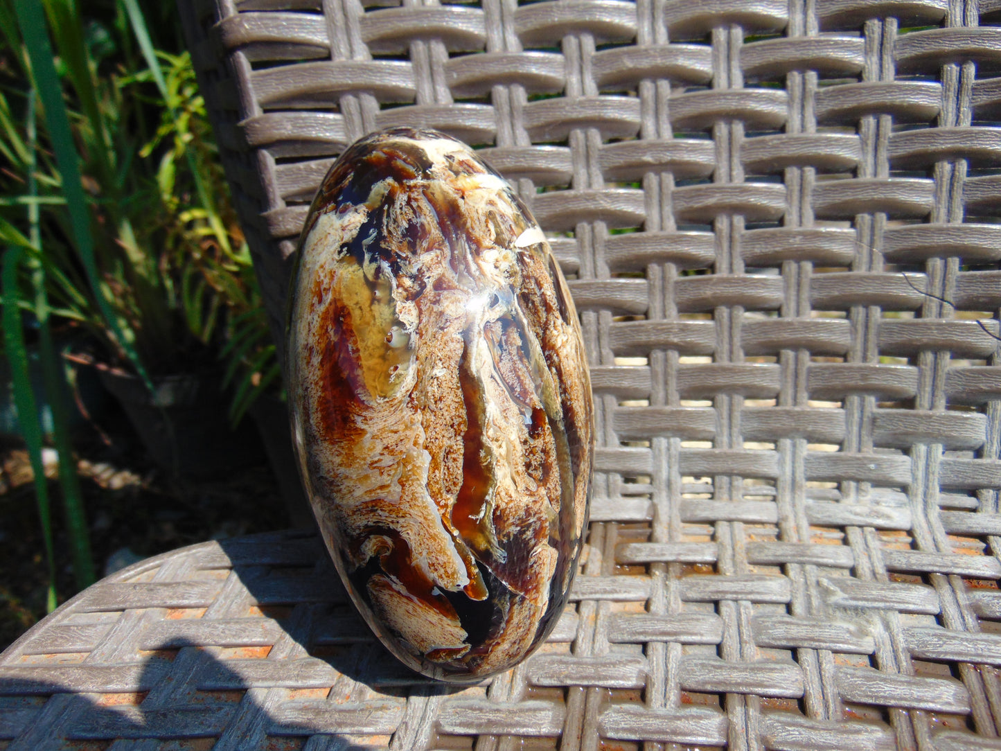 214 gr Shaped Rugby Indonesian Zebra White Amber for Healing ST126