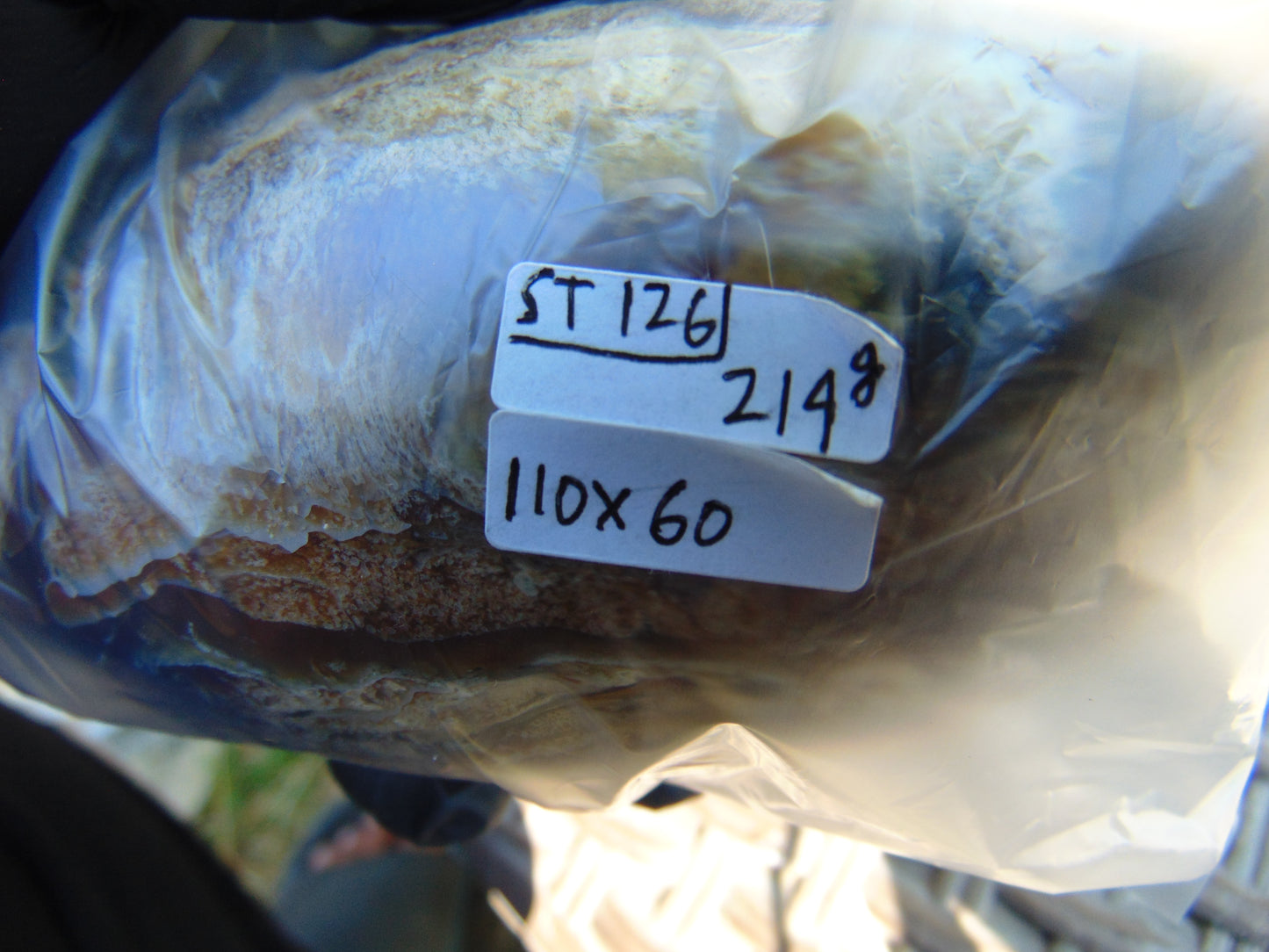 214 gr Shaped Rugby Indonesian Zebra White Amber for Healing ST126