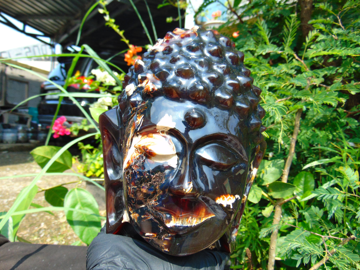 1728 gr 150x158x190 mm Big Buddha head carving on Indonesian Mushroom Inclusion Amber for Healing and Museum