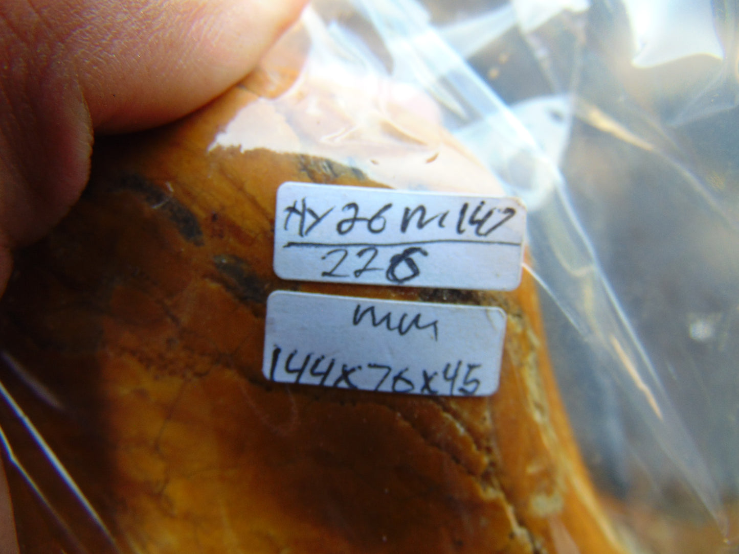 226 gram Polished Indonesia Yellow Aromatic Amber for Healing AY26M147