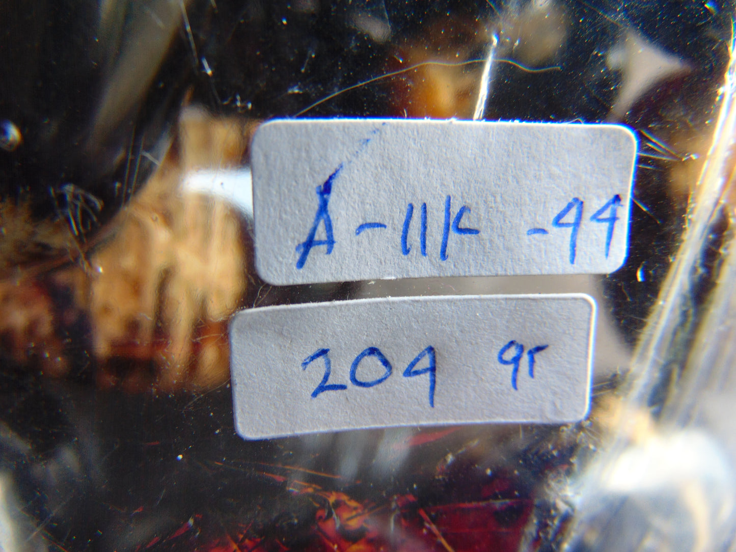 204 gr Small Necklace Indonesian Amber for Healing A11K44