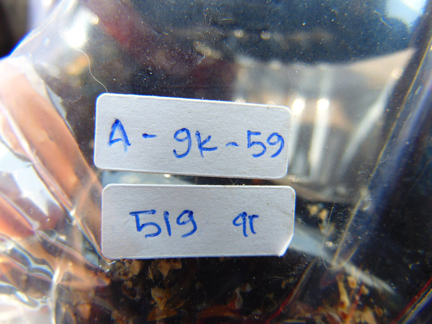 519 gr Big Necklace Indonesian Amber for Healing A9K50