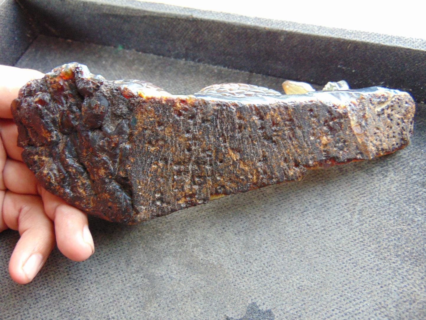 88 gram Dragon carving 180x65x28 mm Indonesian Blue Amber