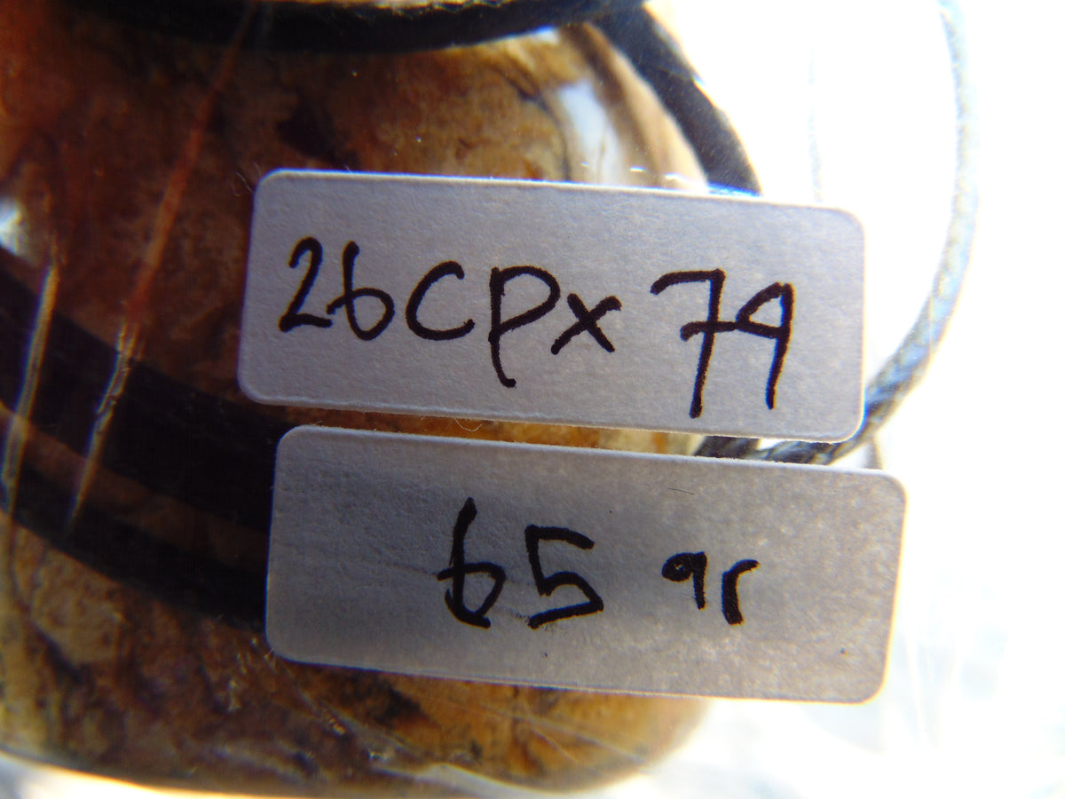 65 gr Genuine Natural Indonesian Aromatic Perfumed Yellow Amber Big Pendant 26CPX74