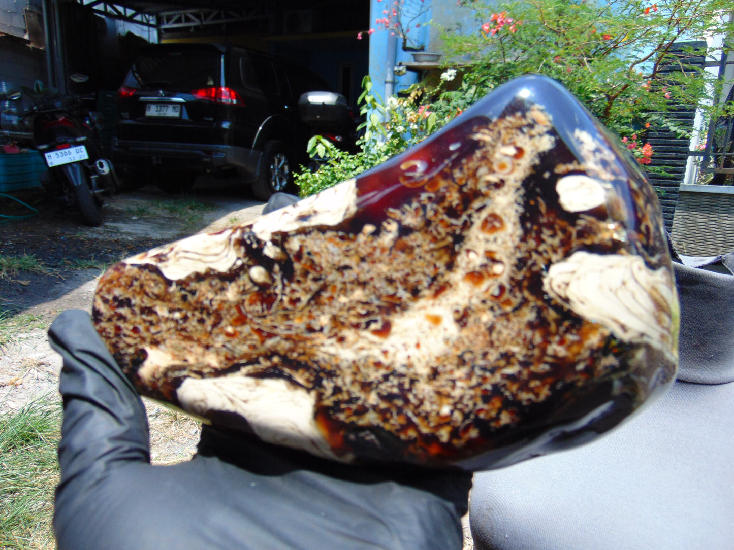 540 gram Full polished Indonesian Amber for Healing 25AR1