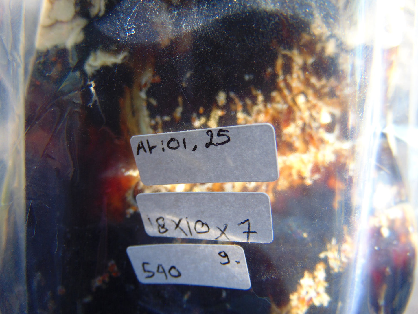 540 gram Full polished Indonesian Amber for Healing 25AR1