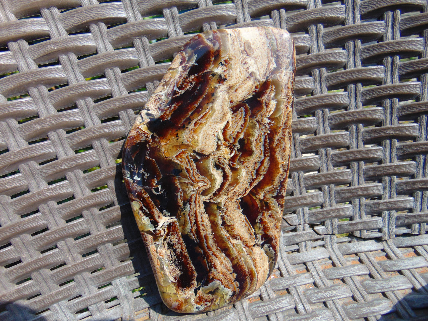 118 gram Slab polished Indonesian Sumatra Zebra Amber for Healing