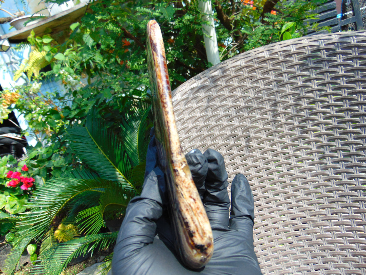 118 gram Slab polished Indonesian Sumatra Zebra Amber for Healing