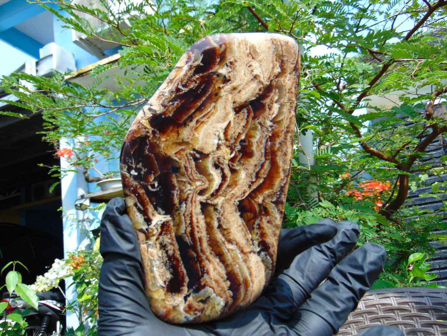 118 gram Slab polished Indonesian Sumatra Zebra Amber for Healing