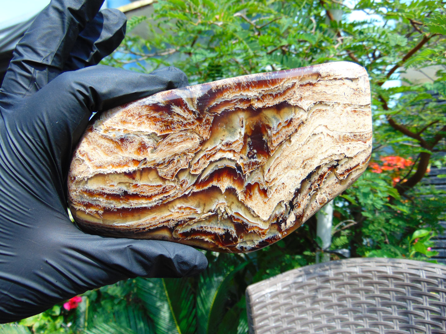 118 gram Slab polished Indonesian Sumatra Zebra Amber for Healing