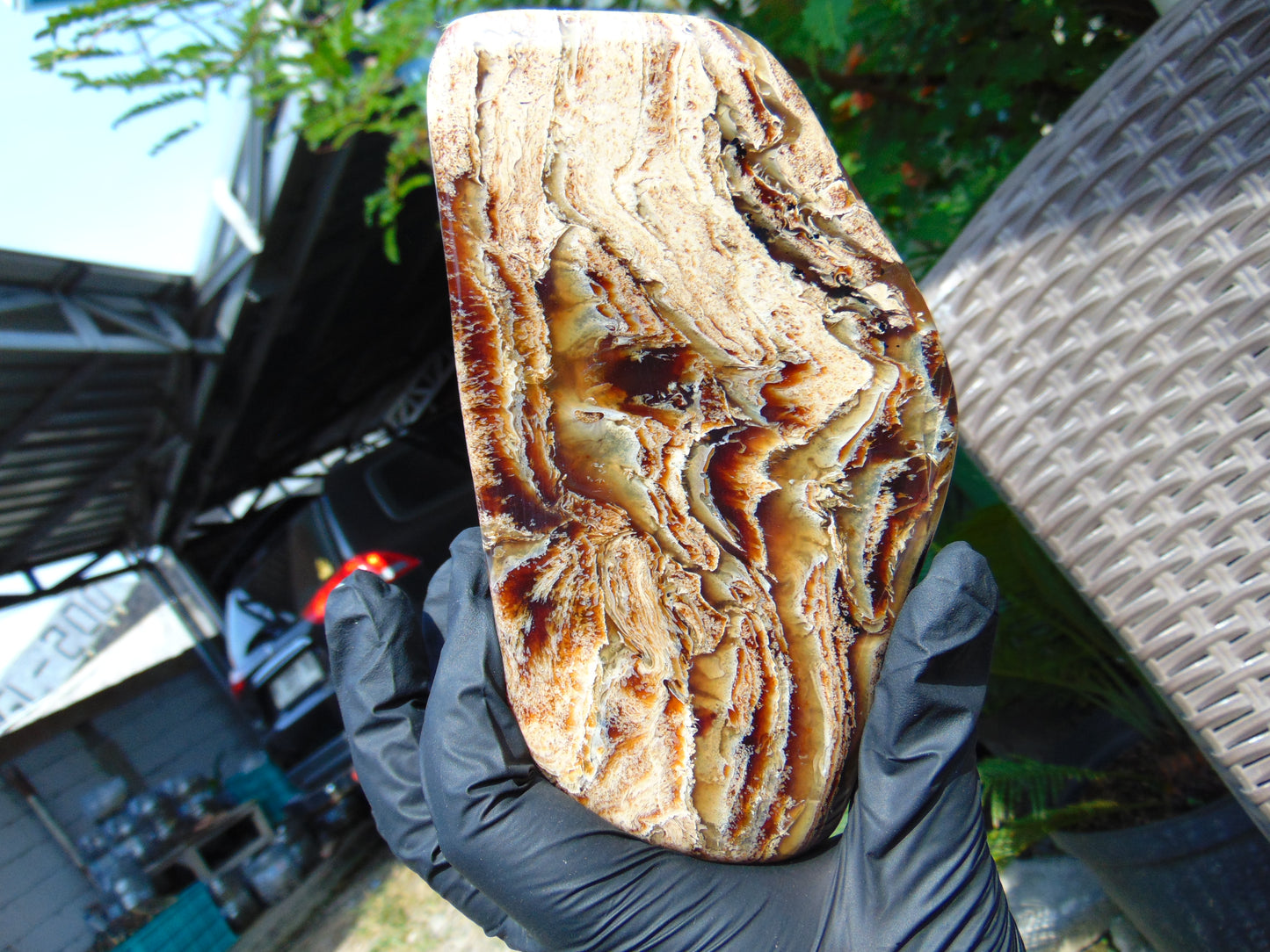 118 gram Slab polished Indonesian Sumatra Zebra Amber for Healing
