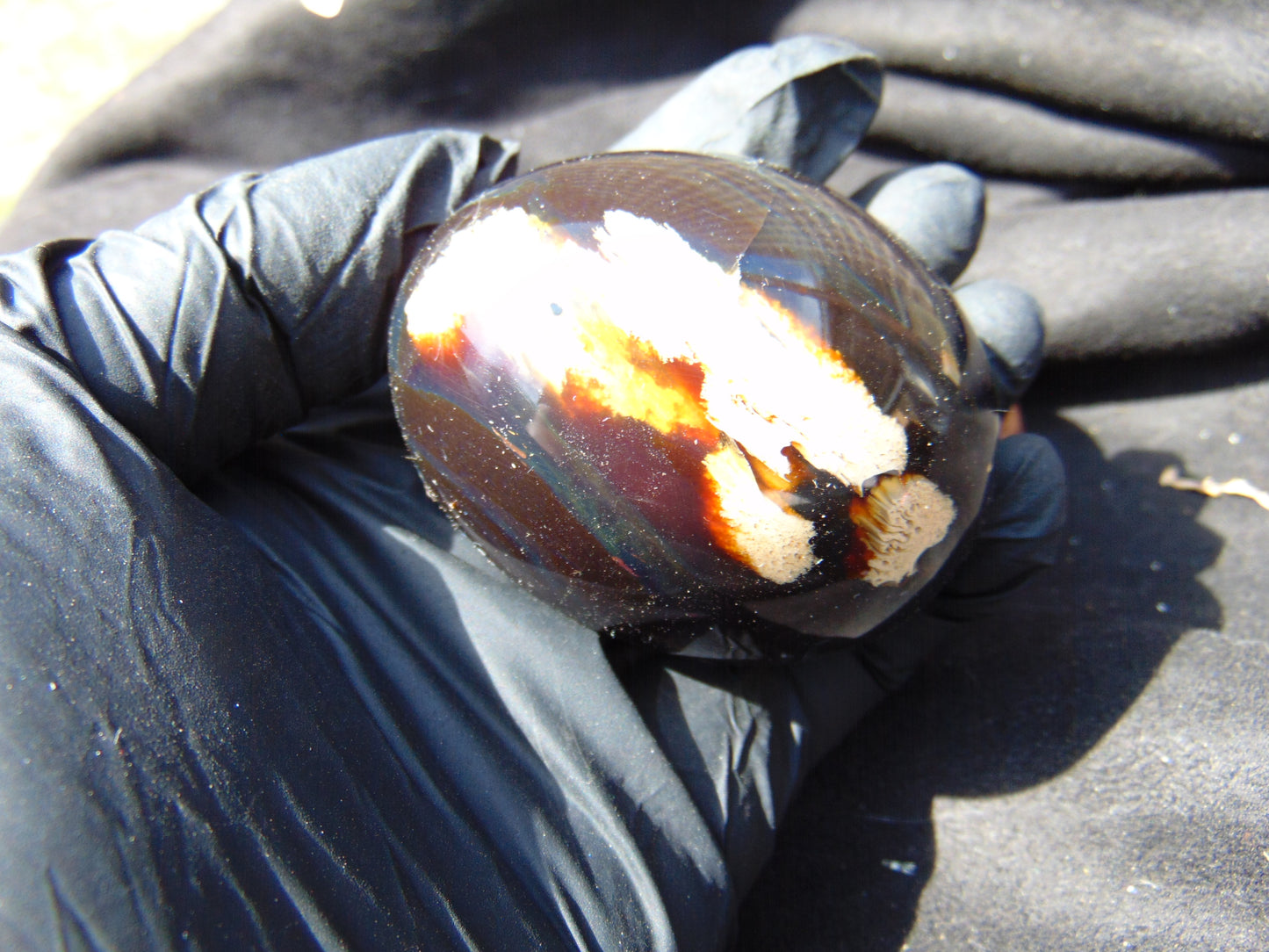 97 gr Shaped Egg 64x52 mm Indonesian Amber for Healing AJ1078