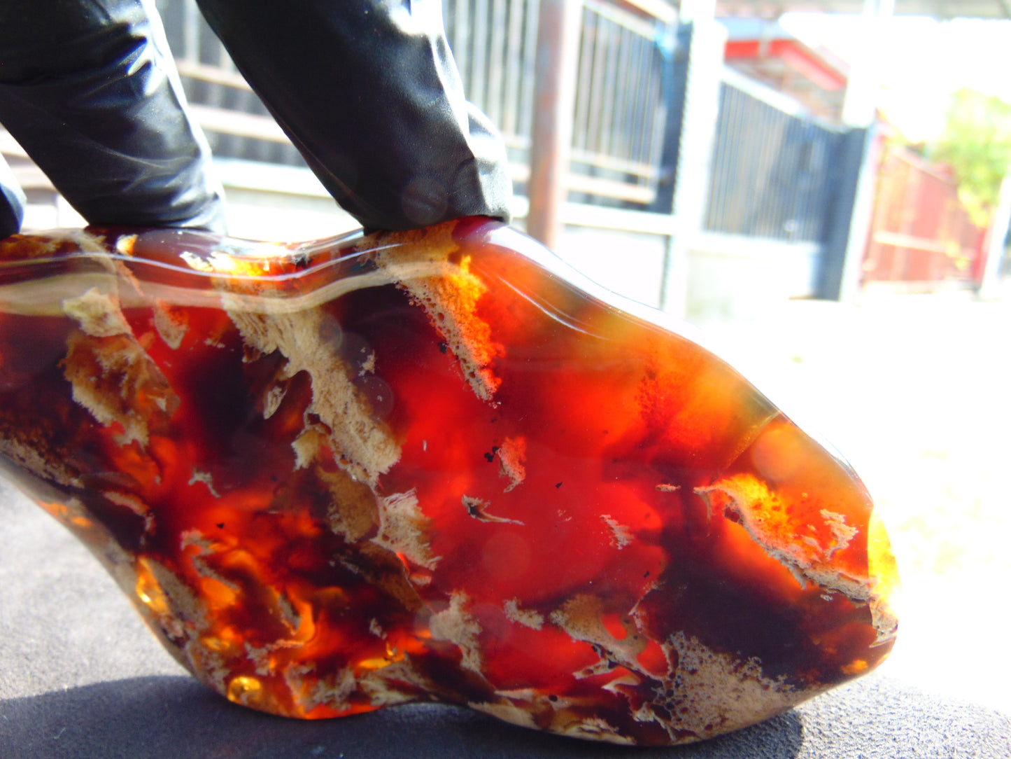 176 gram Slab polished Indonesian Sumatra Zebra Red Amber for Healing 25N163