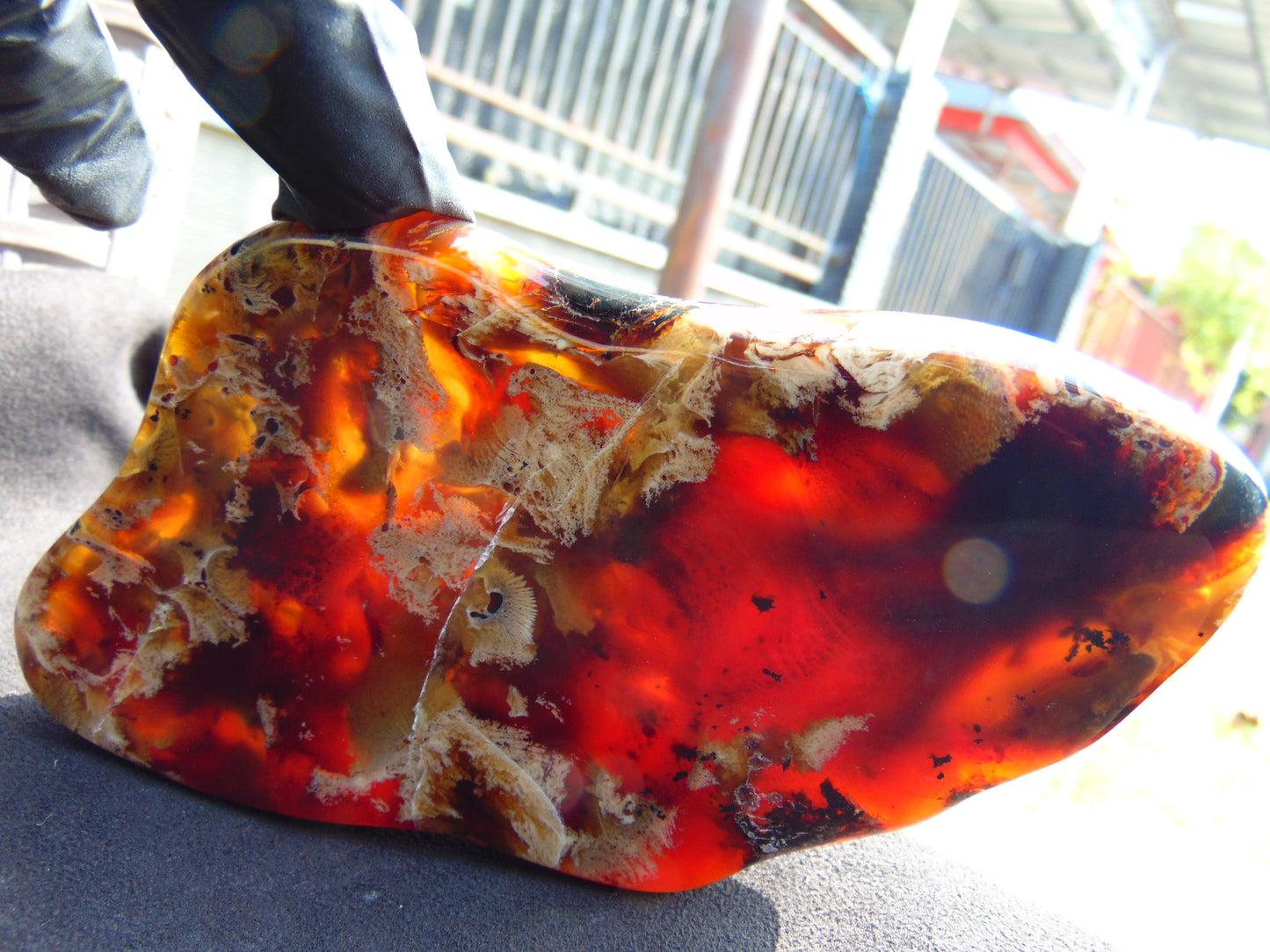 176 gram Slab polished Indonesian Sumatra Zebra Red Amber for Healing 25N163