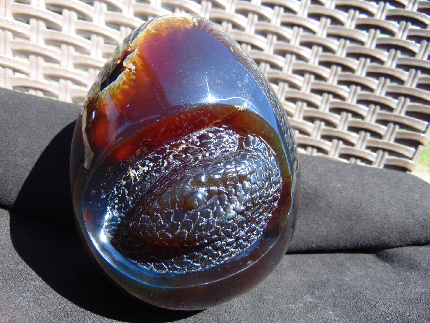 593 gr 4.9x3.9" snake carving on the Amber egg Indonesian Mushroom Inclusion Purple Blue Amber AJ772