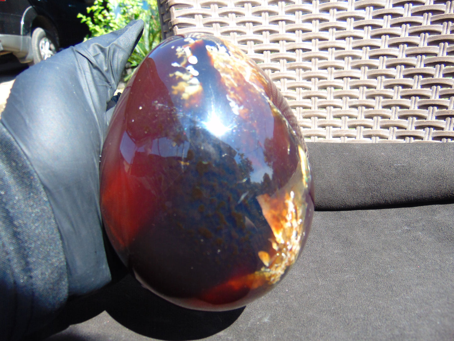 593 gr 4.9x3.9" snake carving on the Amber egg Indonesian Mushroom Inclusion Purple Blue Amber AJ772