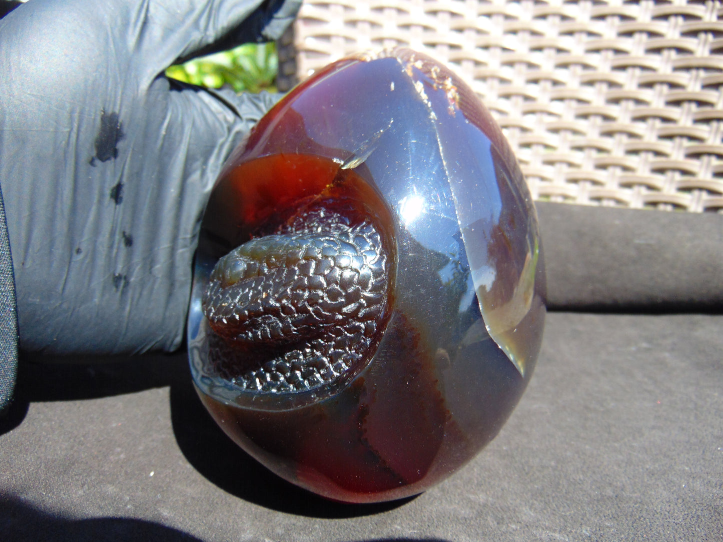 593 gr 4.9x3.9" snake carving on the Amber egg Indonesian Mushroom Inclusion Purple Blue Amber AJ772