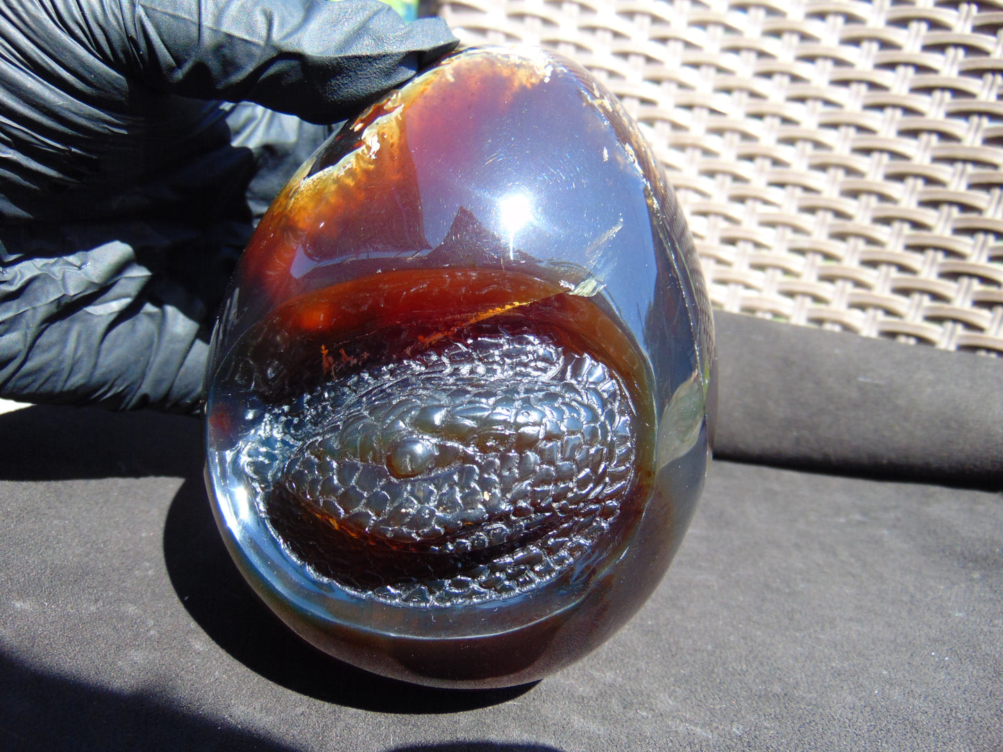 593 gr 4.9x3.9" snake carving on the Amber egg Indonesian Mushroom Inclusion Purple Blue Amber AJ772