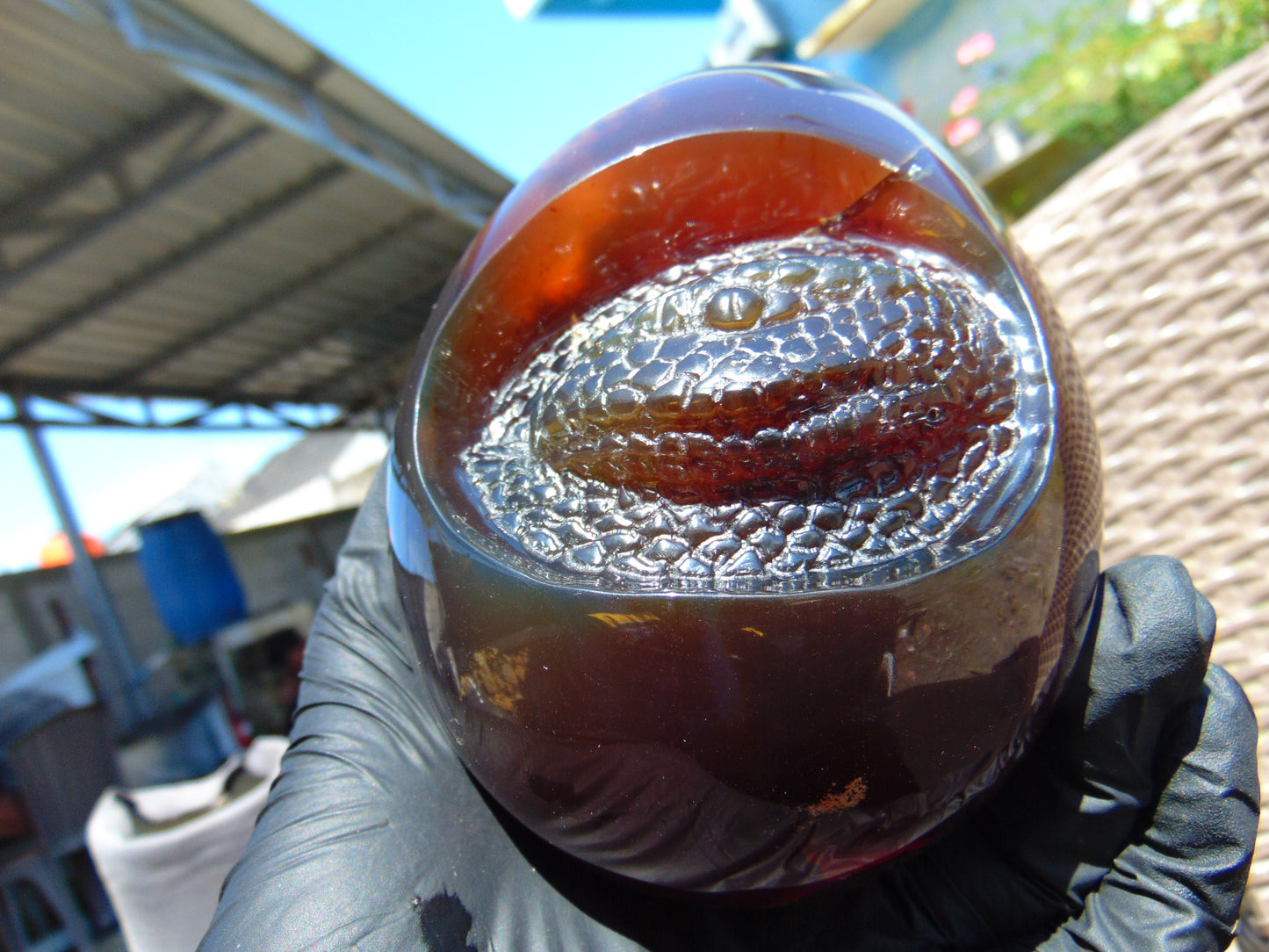 593 gr 4.9x3.9" snake carving on the Amber egg Indonesian Mushroom Inclusion Purple Blue Amber AJ772