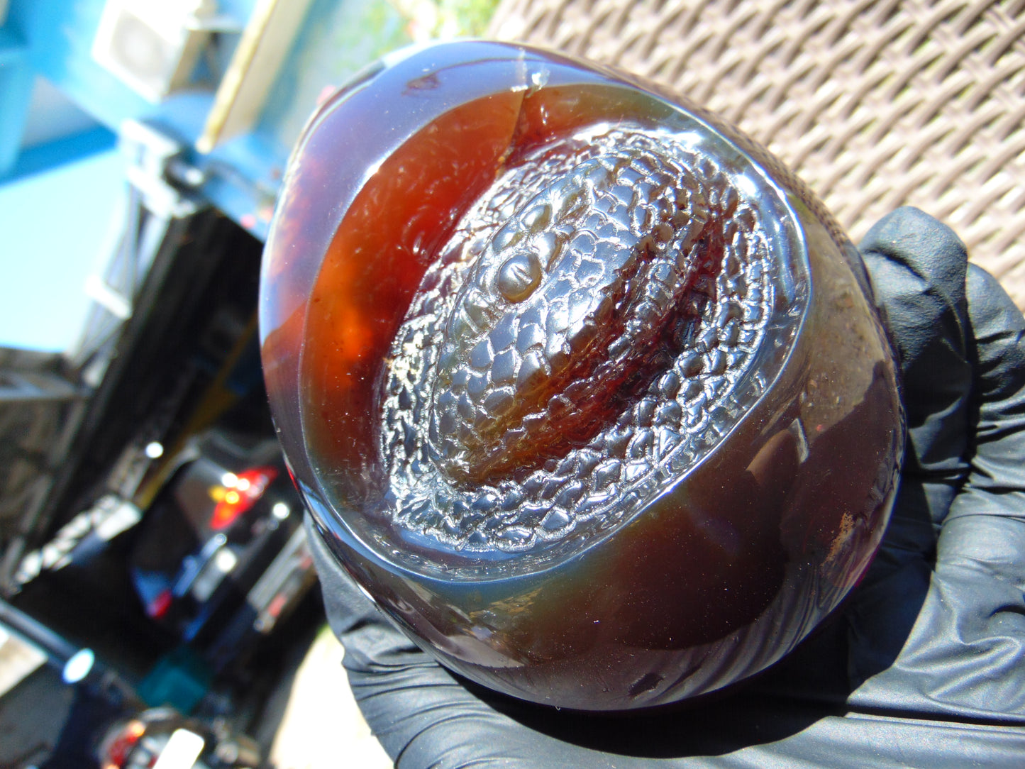 593 gr 4.9x3.9" snake carving on the Amber egg Indonesian Mushroom Inclusion Purple Blue Amber AJ772