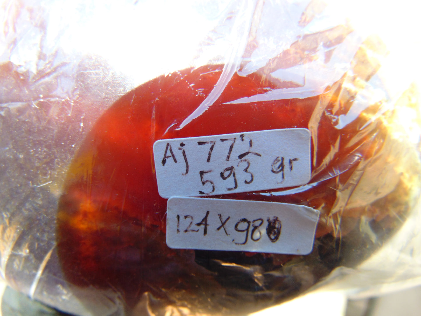 593 gr 4.9x3.9" snake carving on the Amber egg Indonesian Mushroom Inclusion Purple Blue Amber AJ772