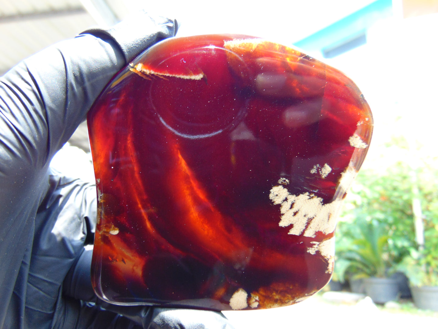 101 gram Slab polished Indonesian Sumatra Cherry Red Amber for Healing 25Y105