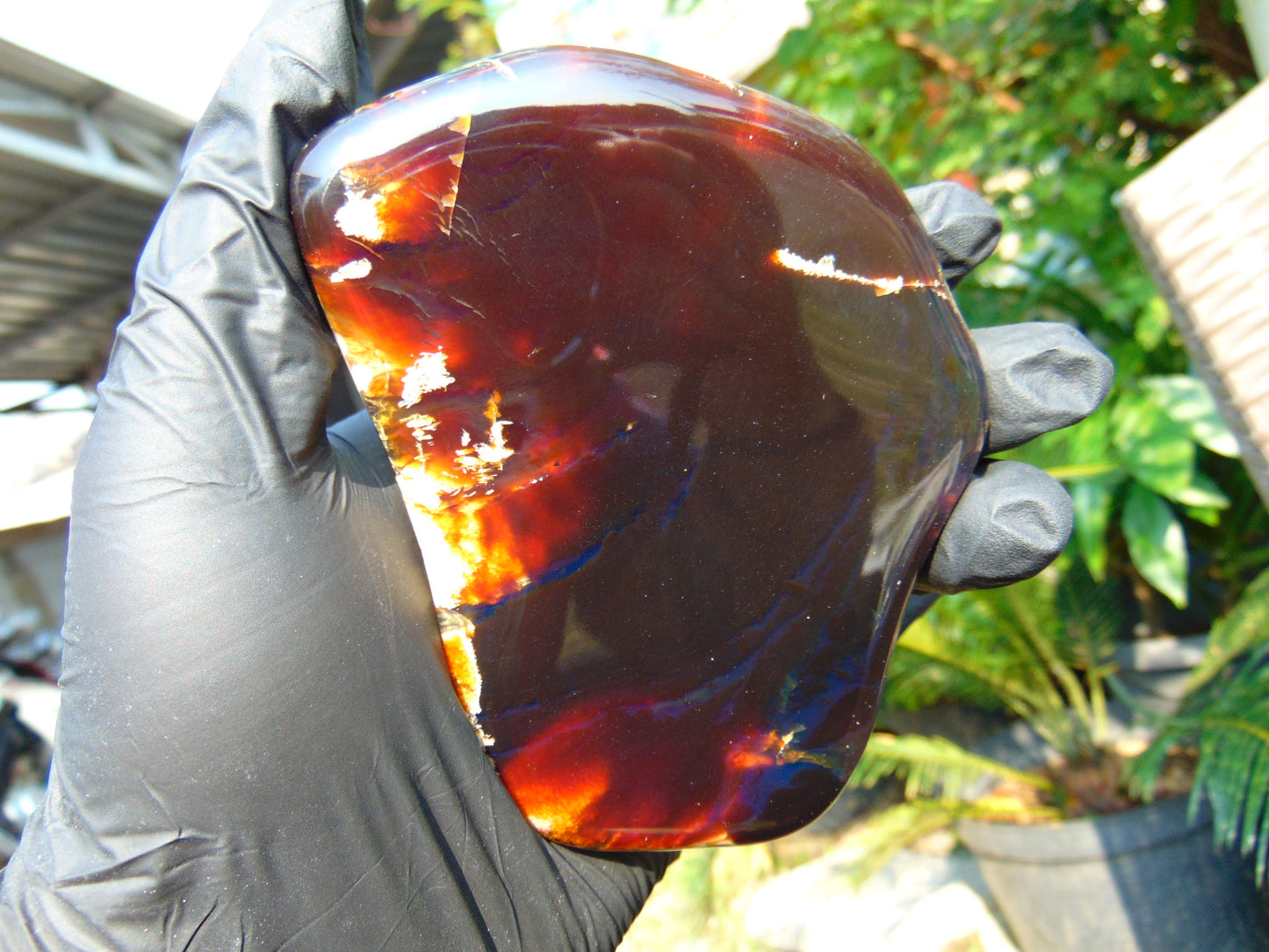 105 gram Slab Slim polished Indonesian Crystal red Amber for Healing 25N146