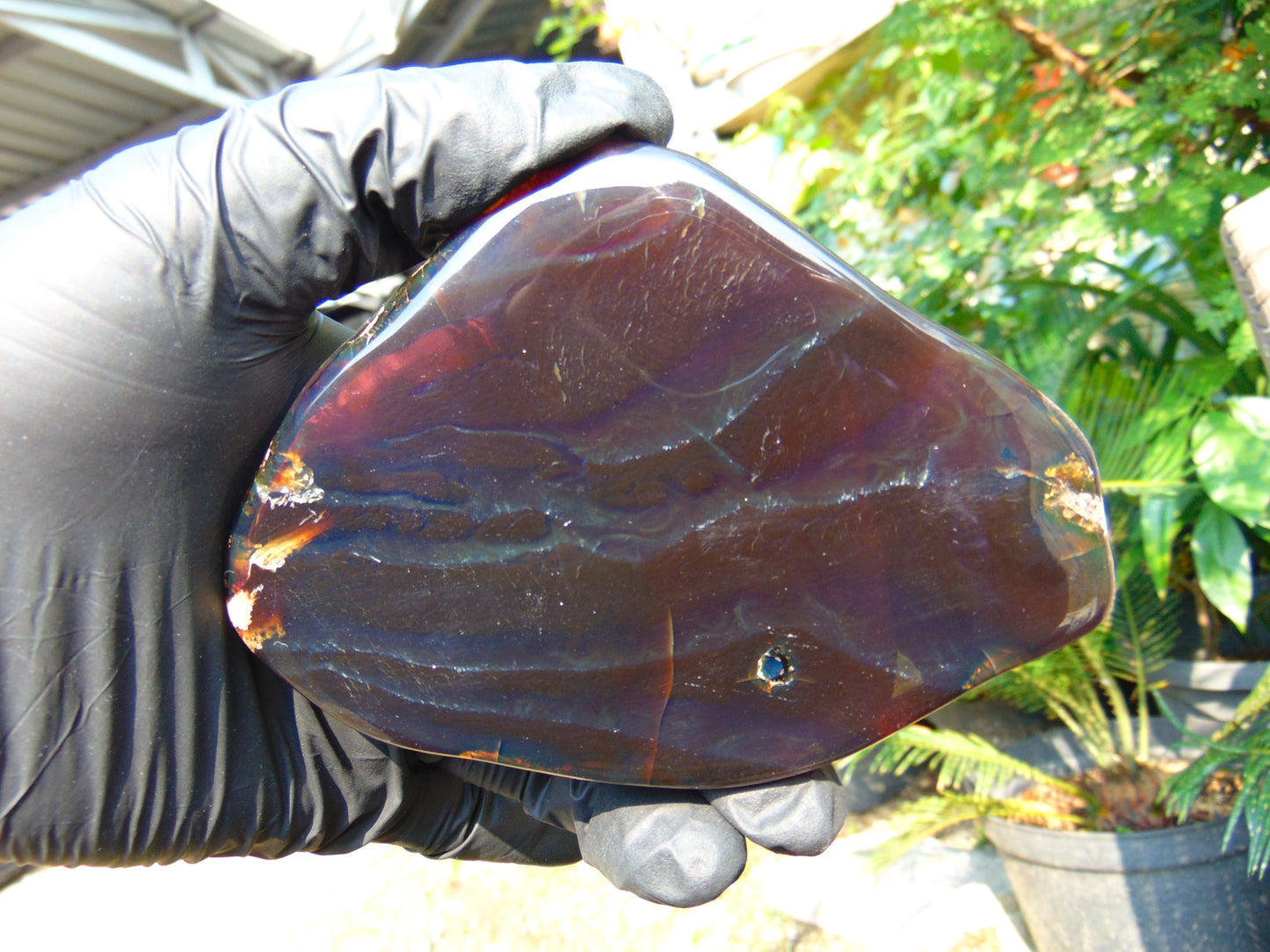 111 gram Slab Slim polished Indonesian Cherry Red Amber for Healing 25A206