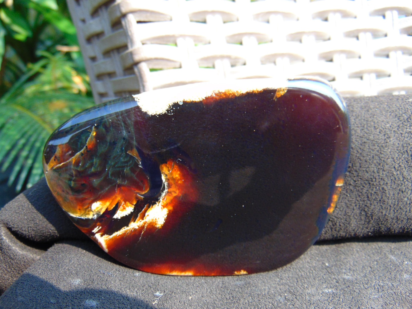 76 gram Slab Slim polished Indonesian Dark Amber for Healing 25N142