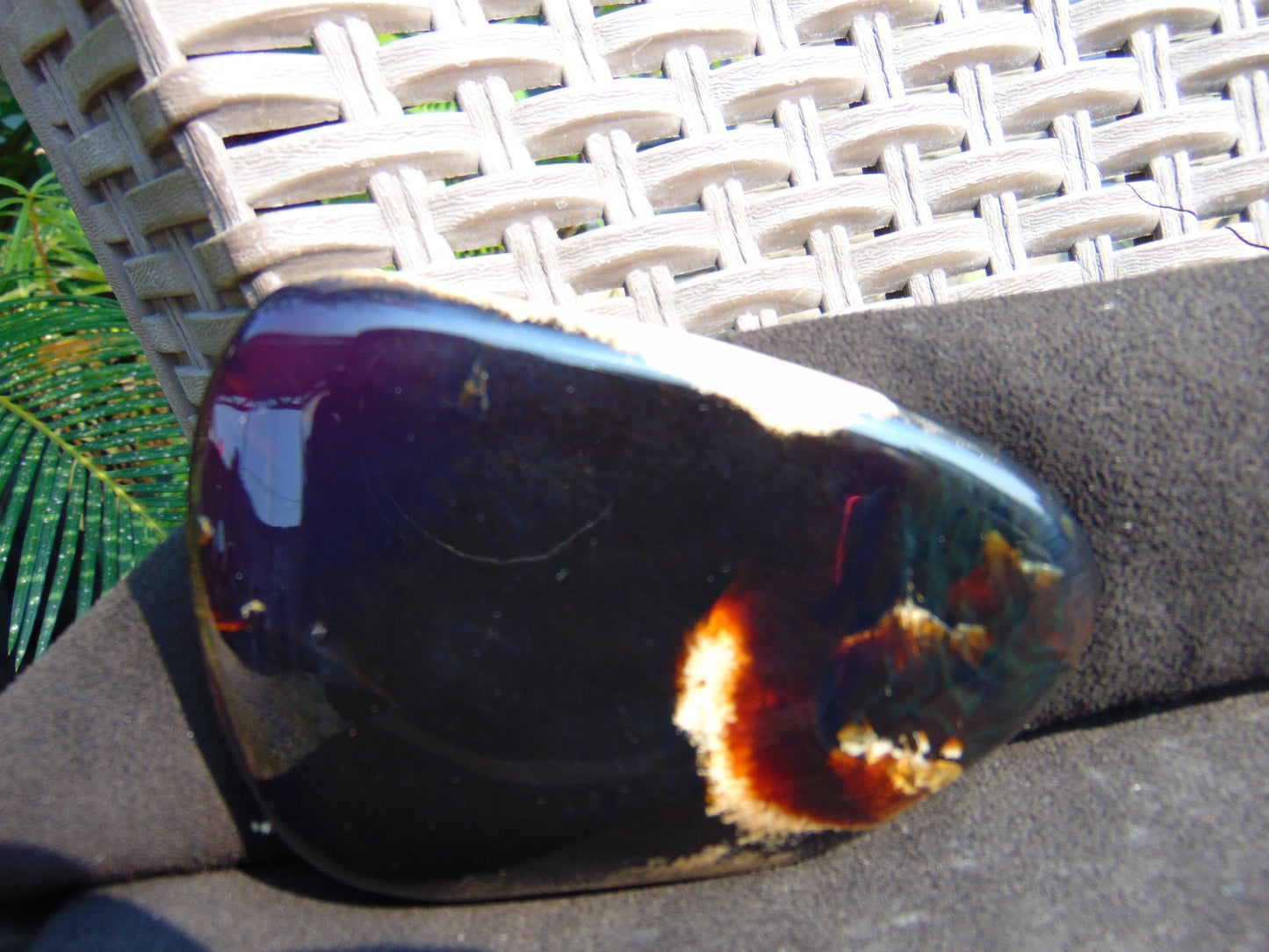 76 gram Slab Slim polished Indonesian Dark Amber for Healing 25N142