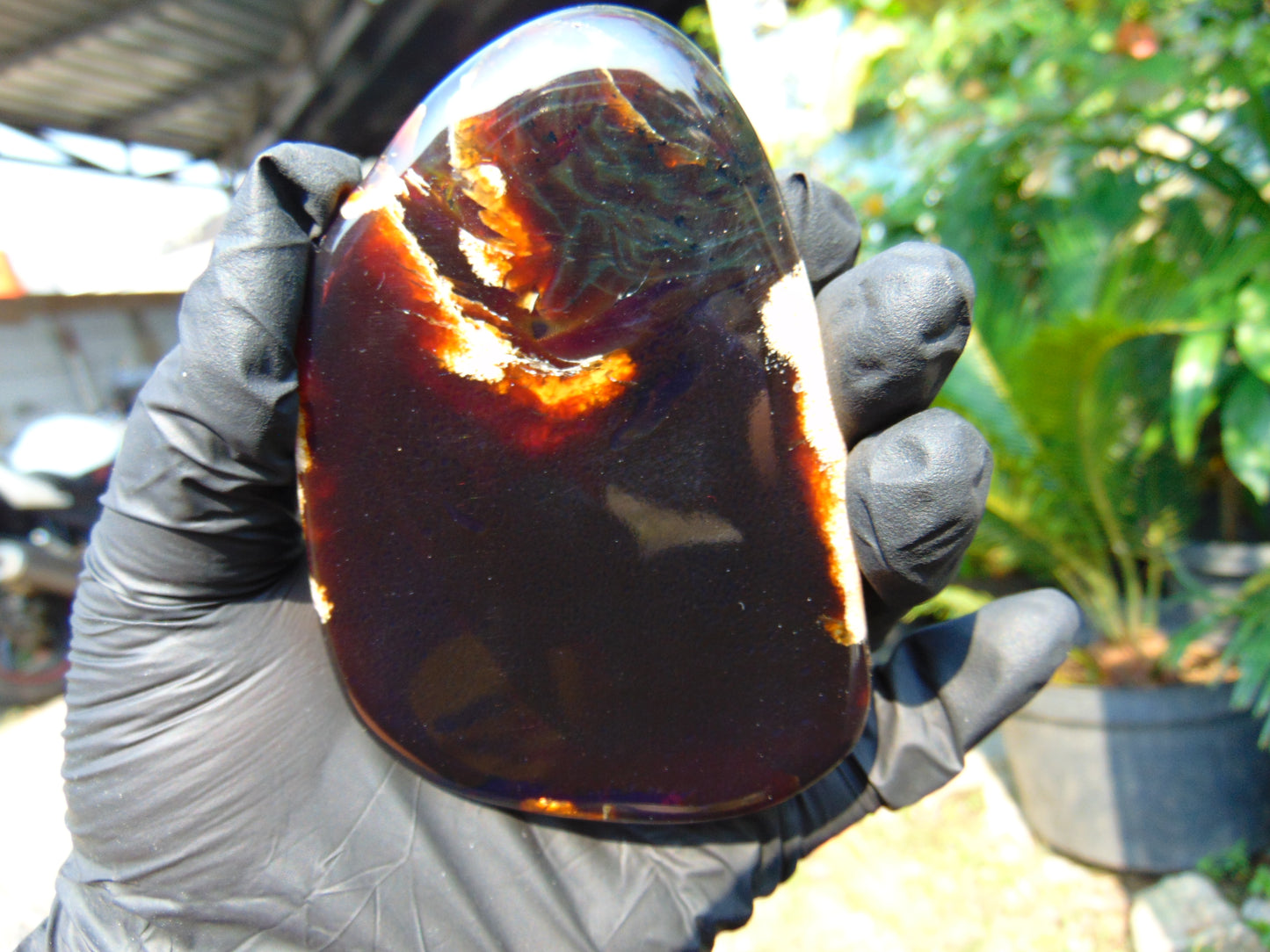 76 gram Slab Slim polished Indonesian Dark Amber for Healing 25N142