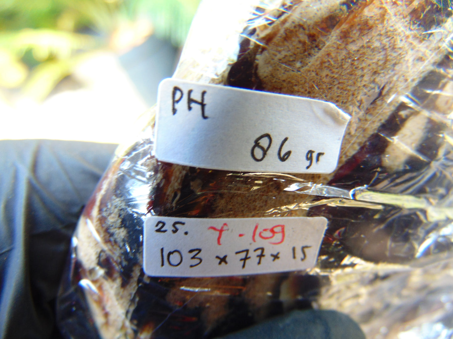 86 gram Slab polished Indonesian Sumatra Black Amber for Healing 25Y109