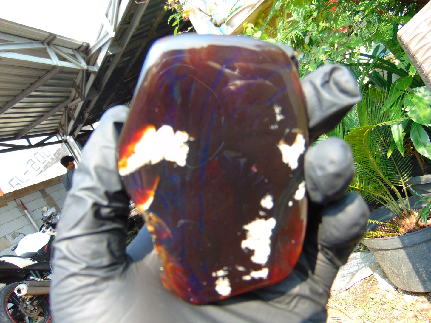 71 gram Slab polished Indonesian Sumatra Cherry Red Amber for Healing 25Y116