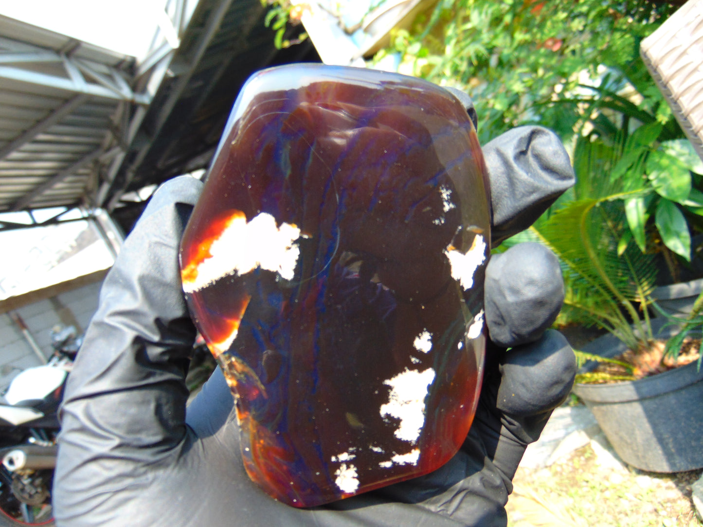 71 gram Slab polished Indonesian Sumatra Cherry Red Amber for Healing 25Y116