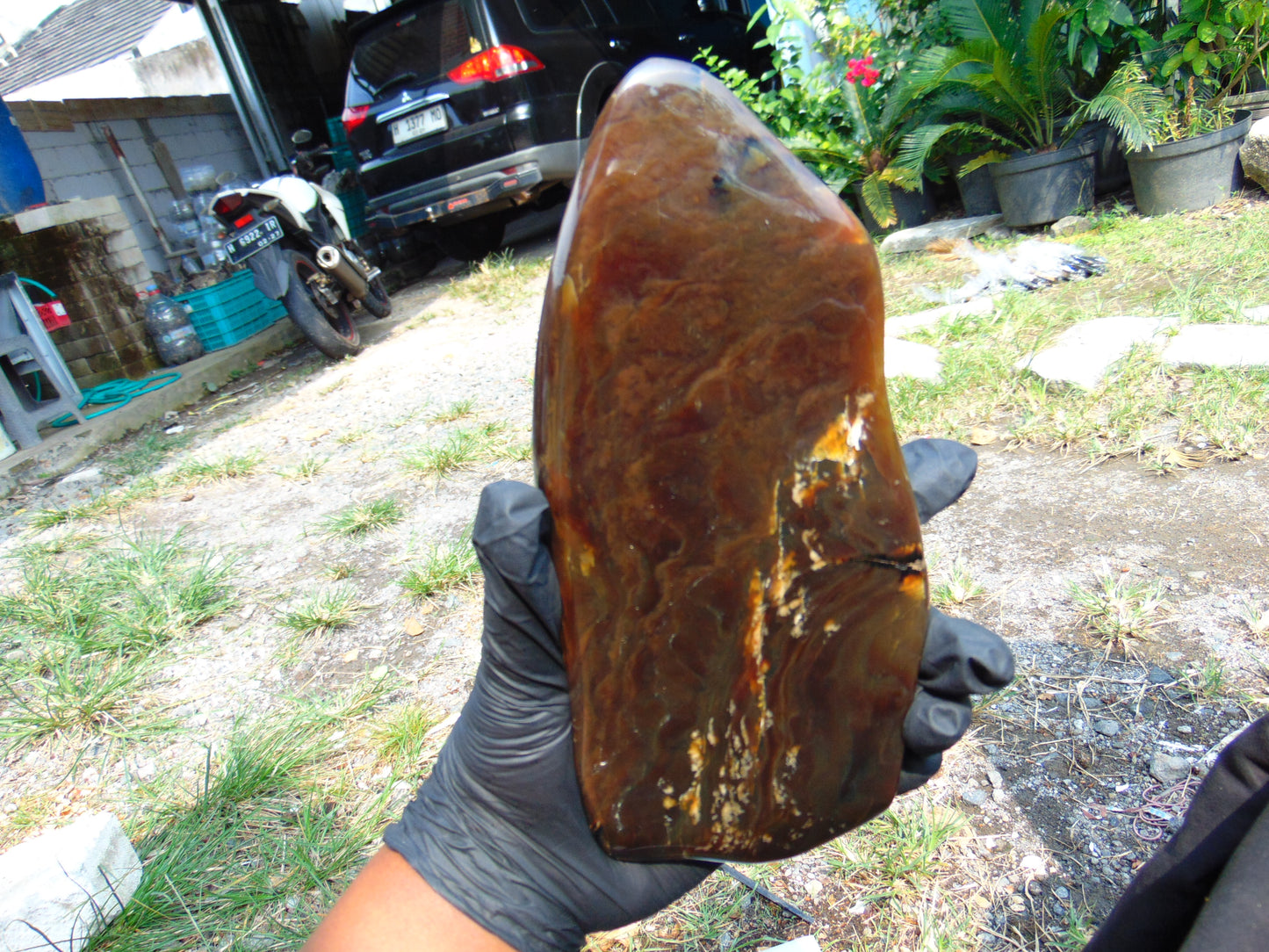 246 gram Slab Slim polished Indonesian Caramel Amber for Healing 25A209