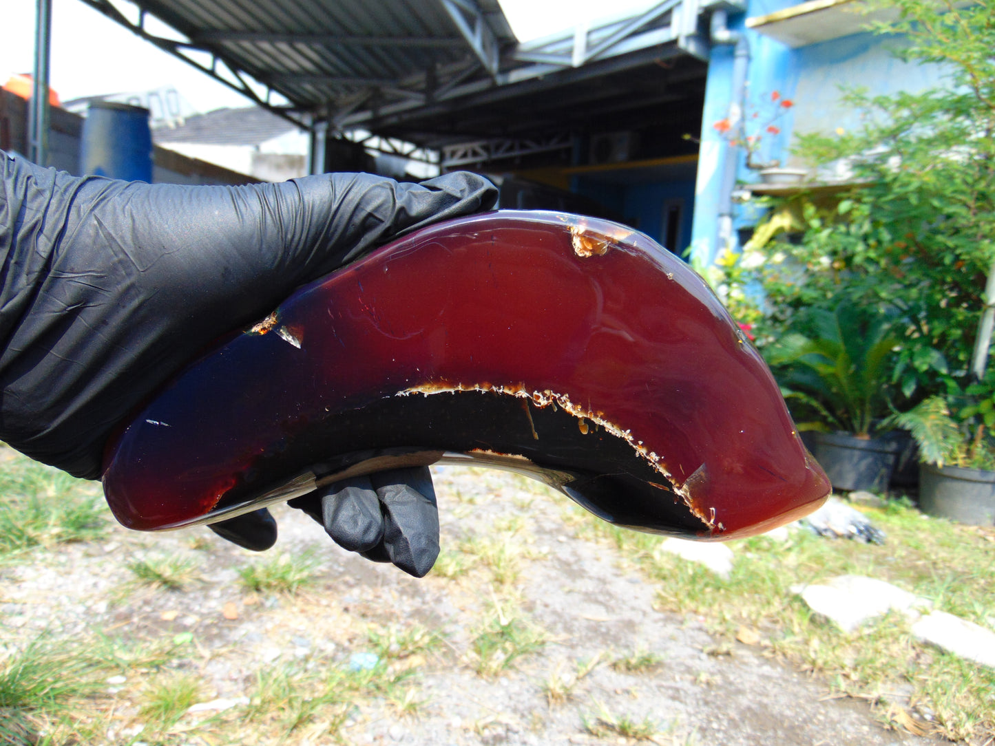 286 gram Slab Slim polished 230x80x22 m Indonesian Blue Amber for Healing 25A187