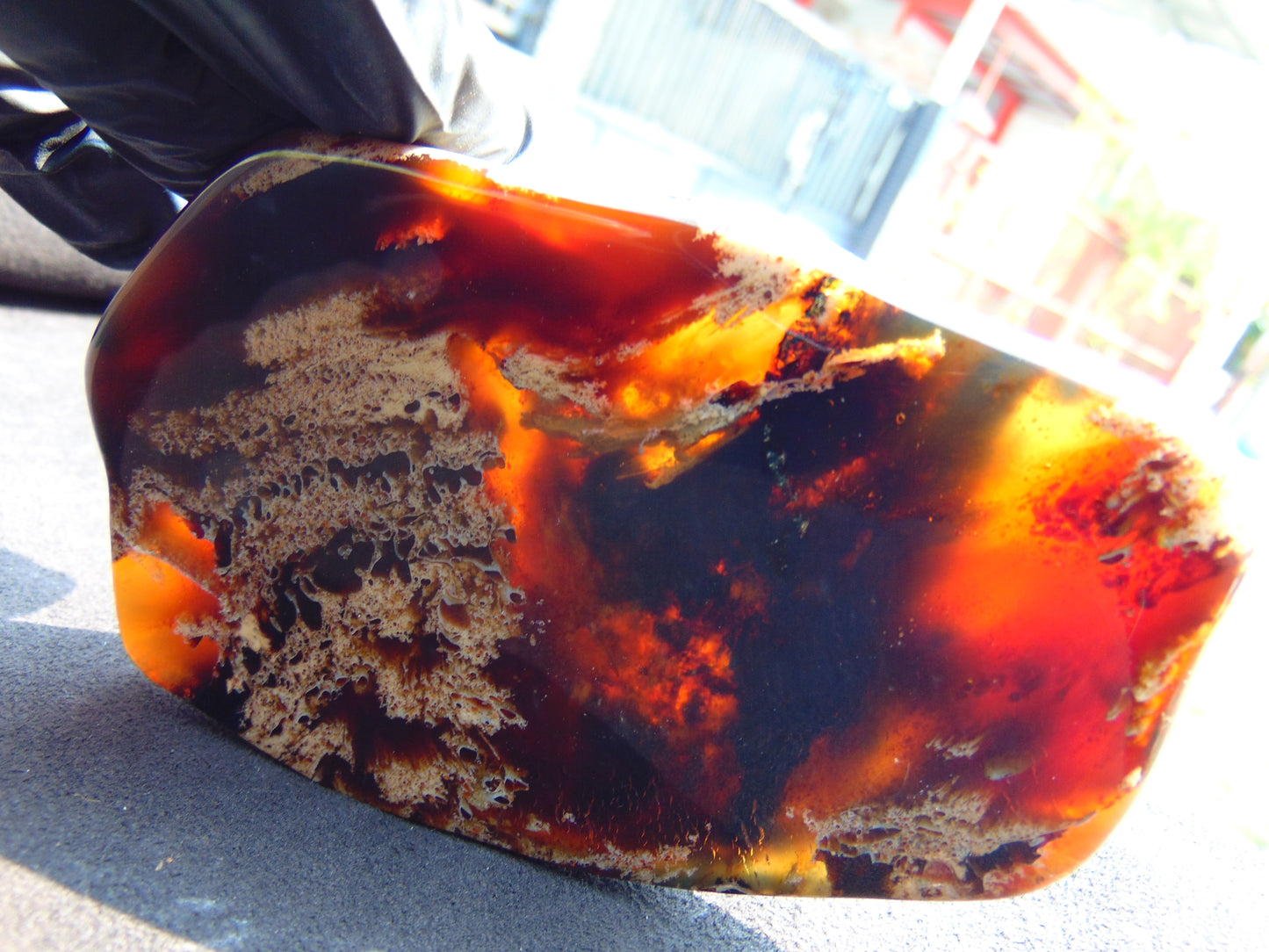 109 gram Slab Slim polished Indonesian White Red Amber for Healing 25A205