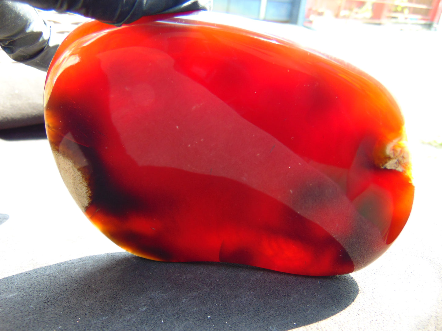 219 gram Slab polished Indonesian Dark Red Amber for Healing 25N167