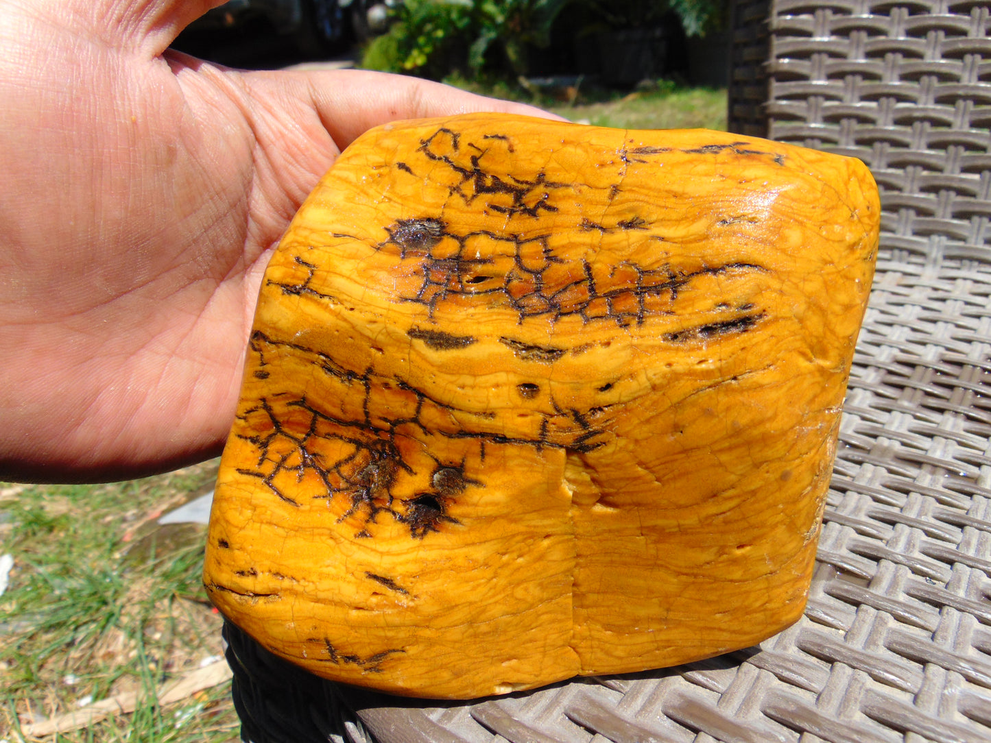 457 gram Polished Indonesia Yellow Fragrance Amber for Healing K820