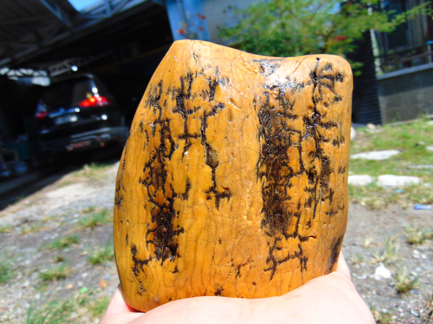 457 gram Polished Indonesia Yellow Fragrance Amber for Healing K820